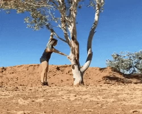 Wrong way to climb tree