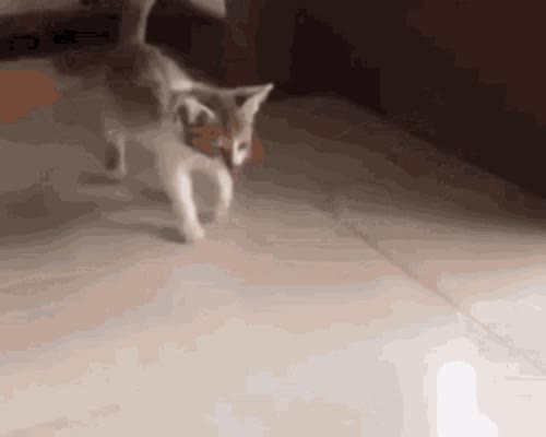 Tired Sleepy GIF