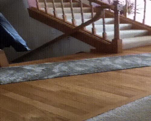 Cat And Dog Fight GIF By JustViral