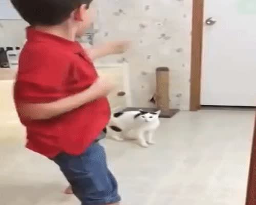 Cat Attack Never Turn Your Back On An Opponent GIF