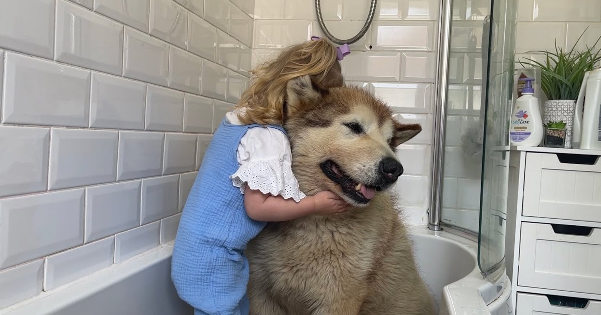 Adorable Baby Girl Convinces Giant Sulking Dog To Take A Bath!! (Cutest ...